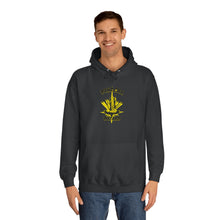 Load image into Gallery viewer, Pinball Wizard Hoodie (Various Colors)