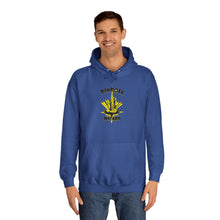 Load image into Gallery viewer, Pinball Wizard Hoodie (Various Colors)