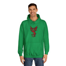 Load image into Gallery viewer, Dragon Hoodie (Various Colors)